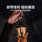 چراغ آویز بلک داگ - Image 2