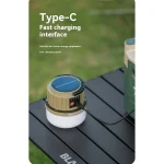 چراغ آویز سولار بلک داگ - Image 8