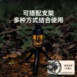 چراغ آویز بلک داگ - Image 4